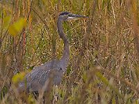 09-23-06-Nanjemoy-5046