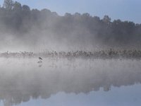 10-15-06-Rt4-6069