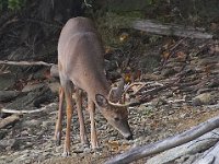 10-21-06-Rocky Gorge-6354-2