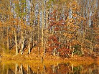 11-25-06-Rocky Gorge-7621