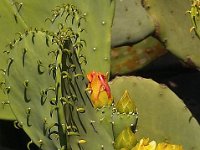 05-14-07-San Antonio-2997