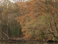 04-11-08-Mattawoman- MG 0962