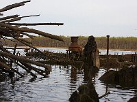 04-11-08-Mattawoman- MG 0999