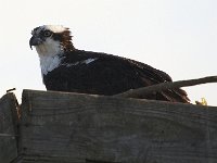 04-13-08-Rt 4- MG 1204