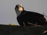 04-13-08-Rt 4- MG 1212 1
