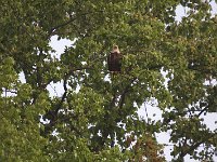 05-03-08-Mattawoman- MG 1549