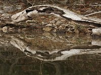 05-11-08-Rocky Gorge MG 2367