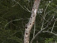 05-18-08-Piscataway MG 2482 1