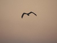 08-03-08-Rt 4 MG 4952