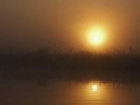08-03-08-Rt 4 MG 4966