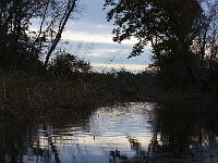 10-18-08-Rt 4 MG 8258