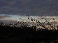 10-18-08-Rt 4 MG 8290