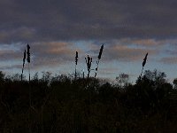 10-18-08-Rt 4 MG 8297