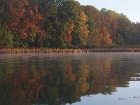 10-26-08-Mattawoman MG 8484