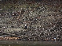 11-01-08-Rocky Gorge MG 9154