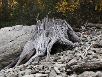 11-01-08-Rocky Gorge MG 9343