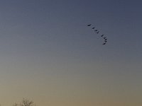 11-09-08-Rt 4 MG 9441