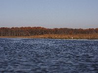 11-11-08-Mattawoman MG 9822