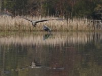 04-25-09-Mattawoman- 2109
