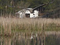04-25-09-Mattawoman- 2110