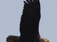 04-26-09-Rt 4 2431 1