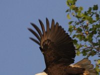 Rt 4 2412