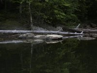 05-16-09-Rocky Gorge