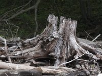 05-16-09-Rocky Gorge-IMG 2867