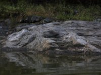 08-30-09-Rocky Gorge-IMG 5769