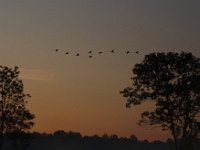 09-06-09-Rt 4-IMG 5836