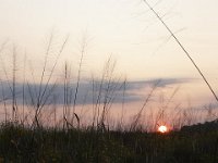 09-19-09-Mattawoman-IMG 6284