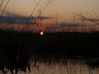 09-19-09-Mattawoman