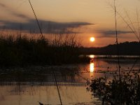 09-19-09-Mattawoman-IMG 6314