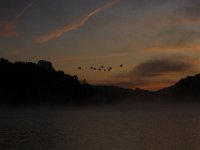 10-11-09-Triadelphia-IMG 6891