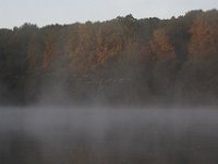 10-11-09-Triadelphia-IMG 6950
