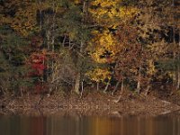 10-25-09-Rocky Gorge-7434