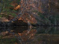 11-08-09-MattawomanIMG 7882