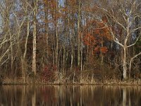 11-15-09-Rt  4-8042