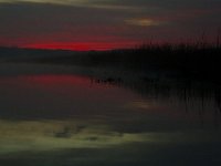 Mattawoman-11-21-09-8164