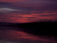 Mattawoman-11-21-09-8188