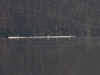 11-29-09-Triadelphia-8539