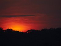 06-12-10-Mattawoman-1124