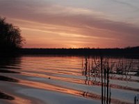 03-20-11-Mattawoman-8790