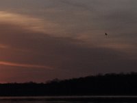 03-20-11-Mattawoman-8797