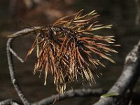 04-30-11-Rocky Gorge-9641