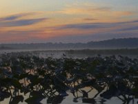 05-07-11-Mattawoman-0039
