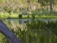 05-07-11-Mattawoman-0272