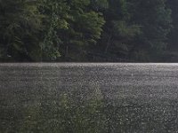 05-29-11-Rocky Gorge-0761