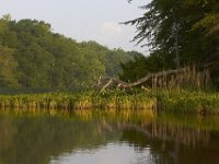 05-30-11-Nanjemoy-0914