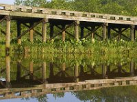 05-31-11-Mattaponi-1197